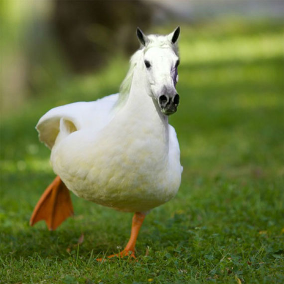 A nyolcadik napon